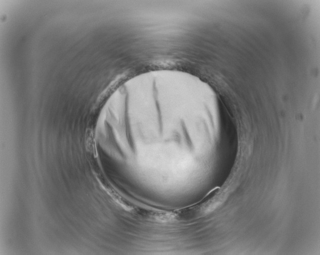 X0000053090576200508081314