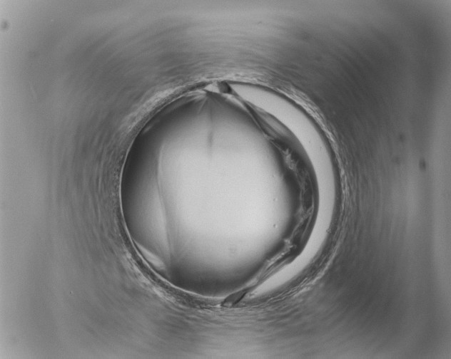 X0000053090577200508081313