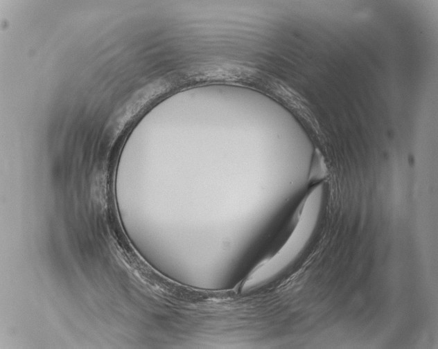 X0000053090578200508081313