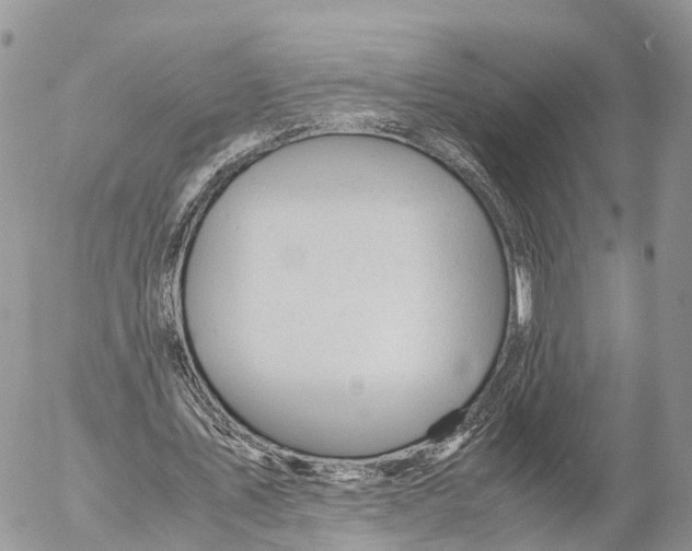 X0000053090579200508081313