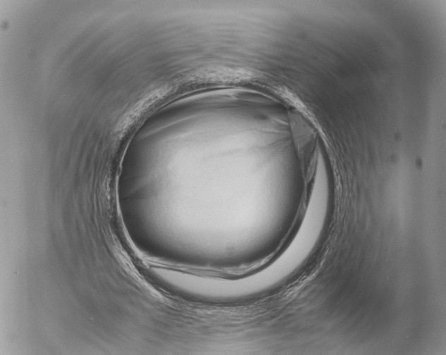 X0000053090581200508081313