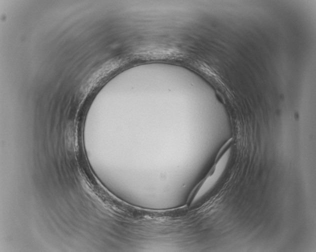 X0000053090582200508081313