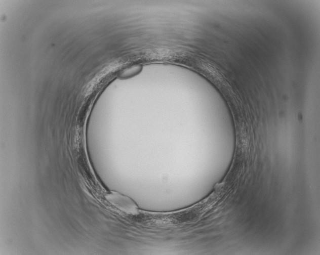 X0000053090583200508081313