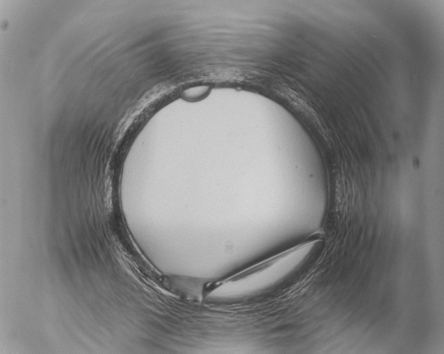 X0000053090584200508081313