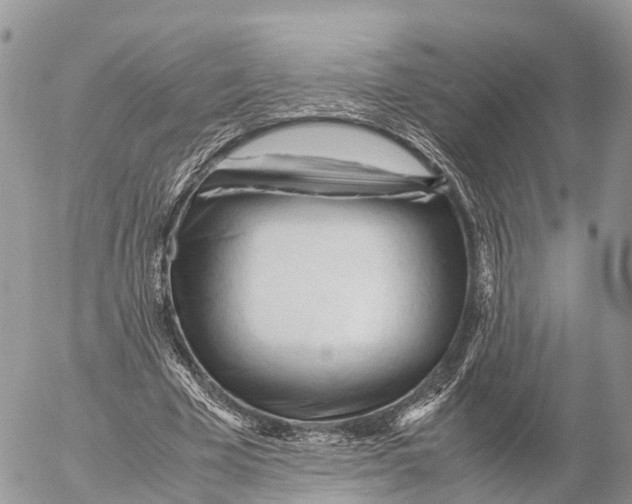 X0000053090585200508081313