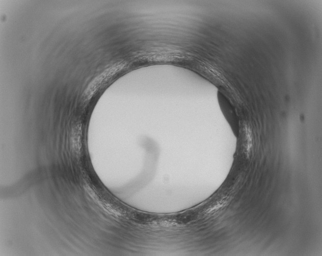 X0000053090586200508081313