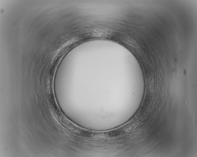 X0000053090587200508081313