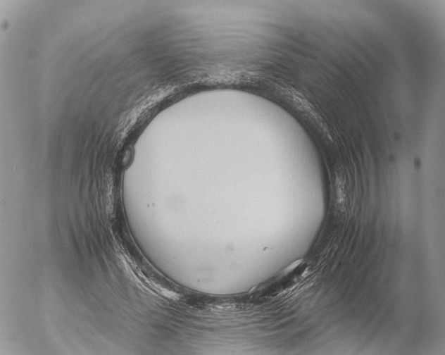 X0000053090588200508081313