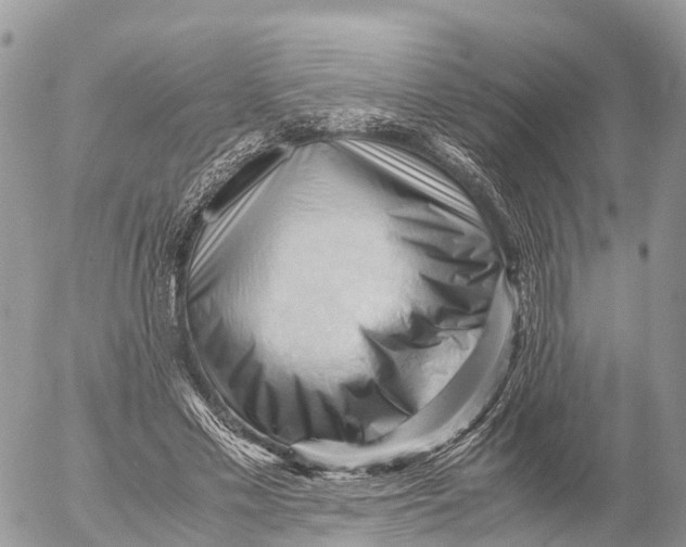 X0000053090589200508081313