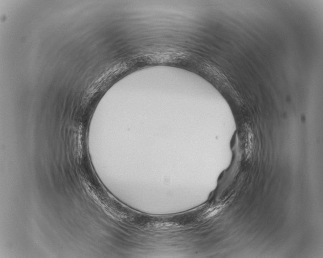 X0000053090590200508081313