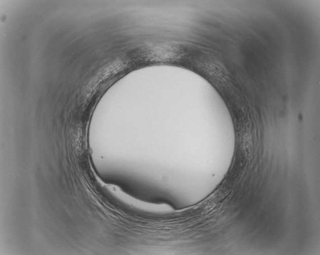 X0000053090591200508081313