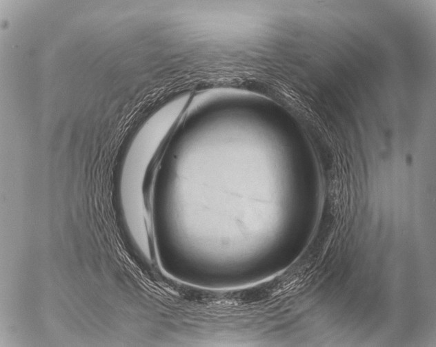 X0000053090593200508081313