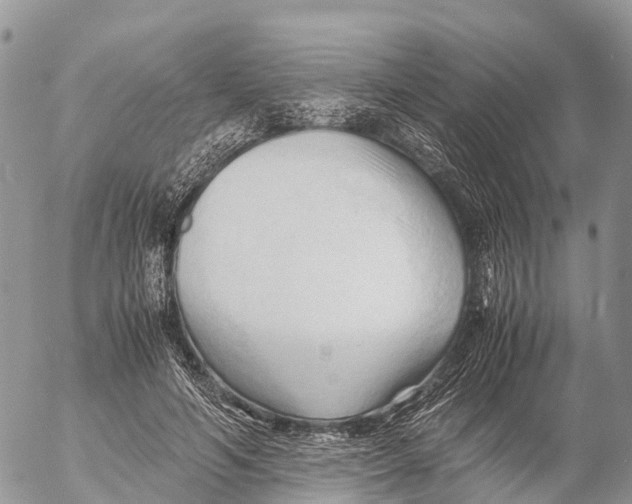 X0000053090594200508081313