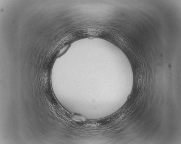 X0000053090595200508081313