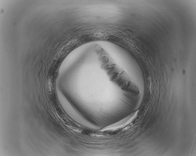 X0000053090597200508081313