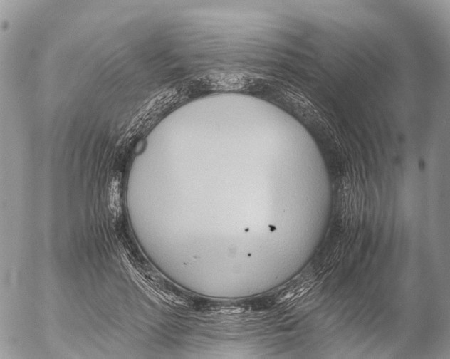 X0000053090598200508081313