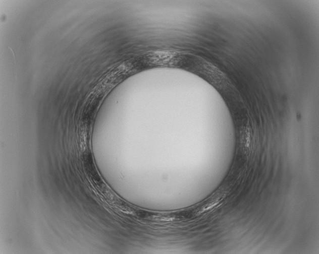 X0000053090602200508081313