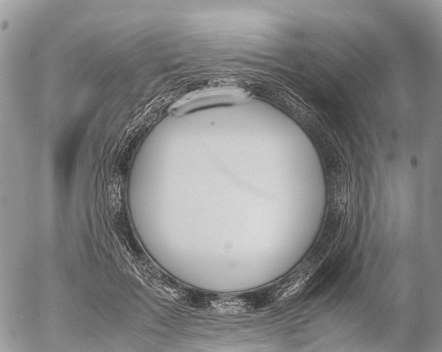 X0000053090603200508081313