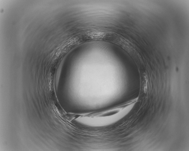 X0000053090604200508081313