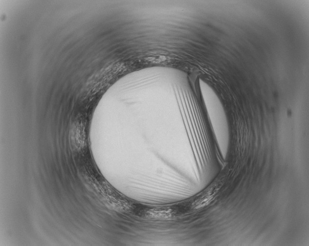 X0000053090606200508081312