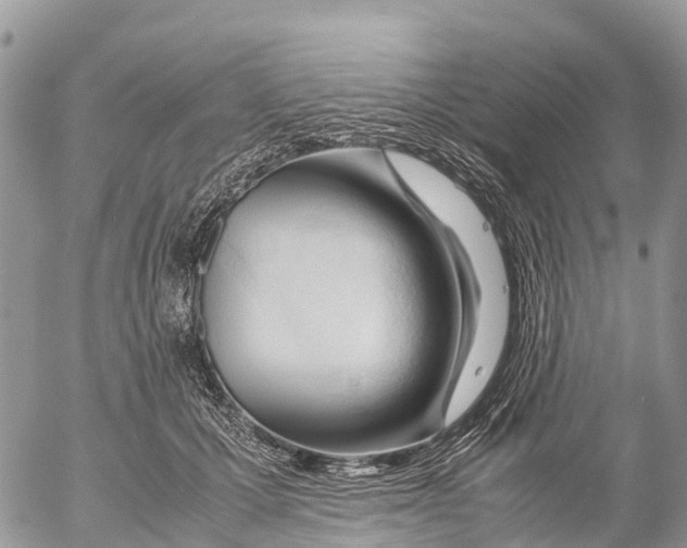 X0000053090607200508081312