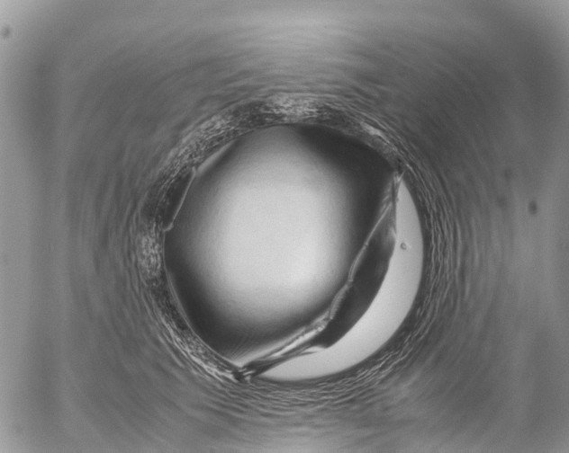 X0000053090609200508081312