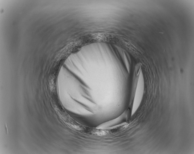 X0000053090611200508081312