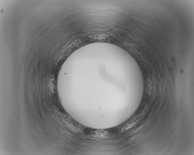 X0000053090612200508081312