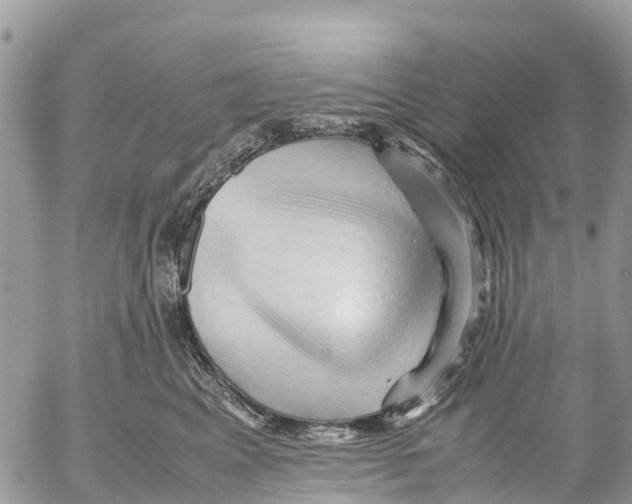 X0000053090617200508081312