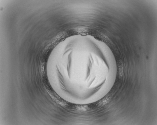 X0000053090618200508081312