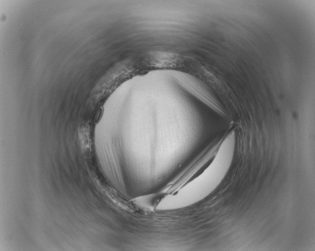 X0000053090620200508081312