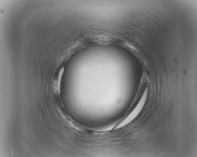 X0000053090621200508081312