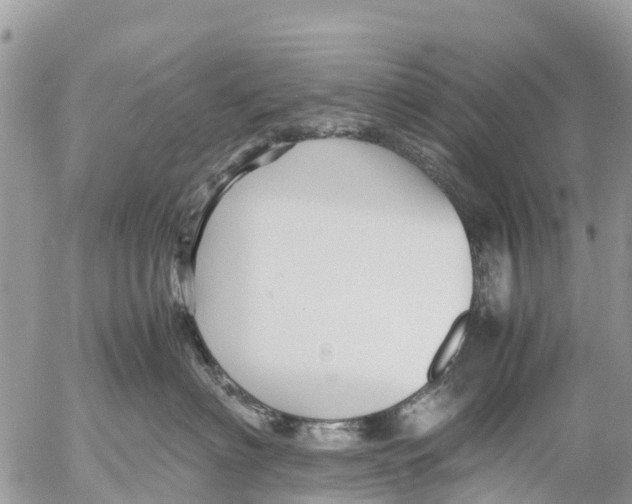 X0000053090622200508081312