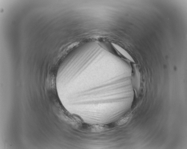 X0000053090623200508081312