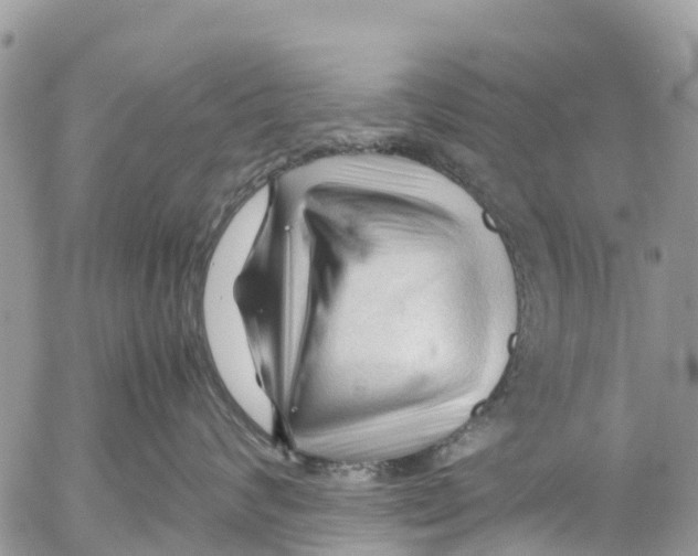 X0000053090624200508081312