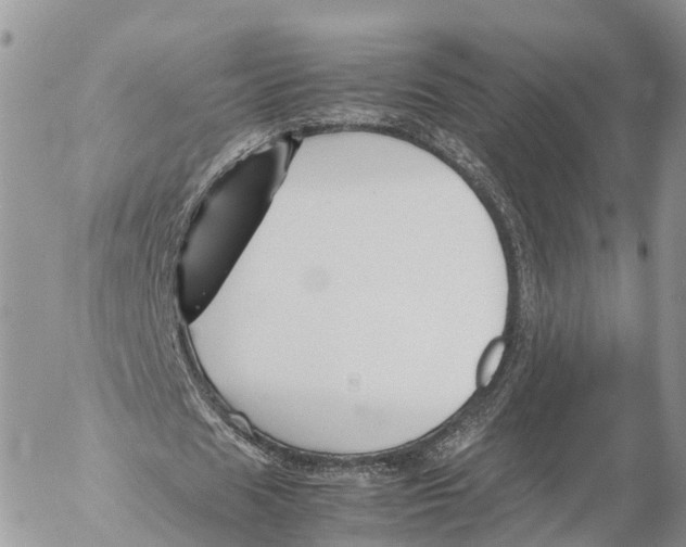 X0000053090625200508081311