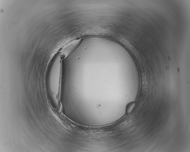 X0000053090626200508081311