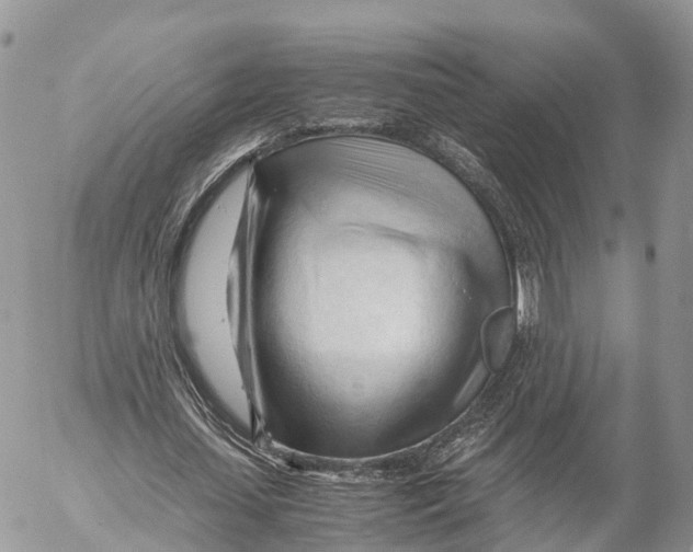 X0000053090627200508081311