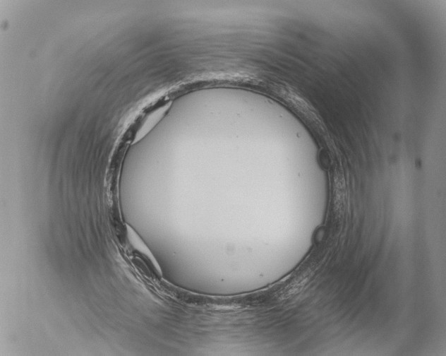 X0000053090628200508081311