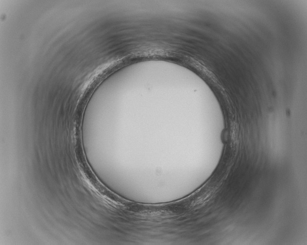 X0000053090629200508081311