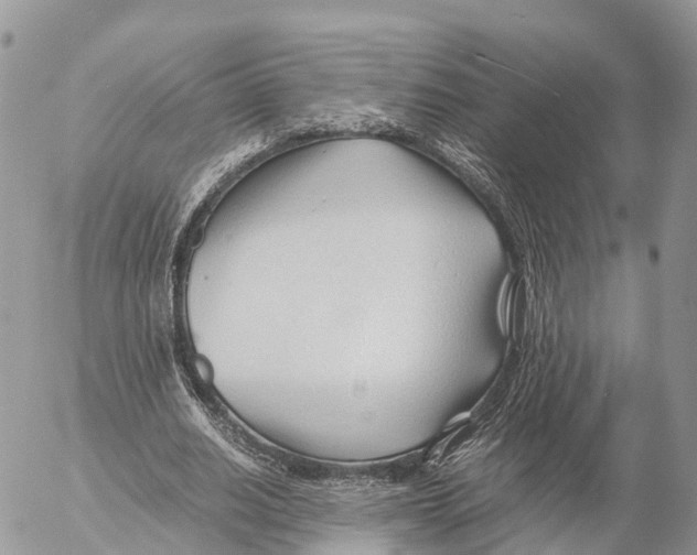 X0000053090630200508081311