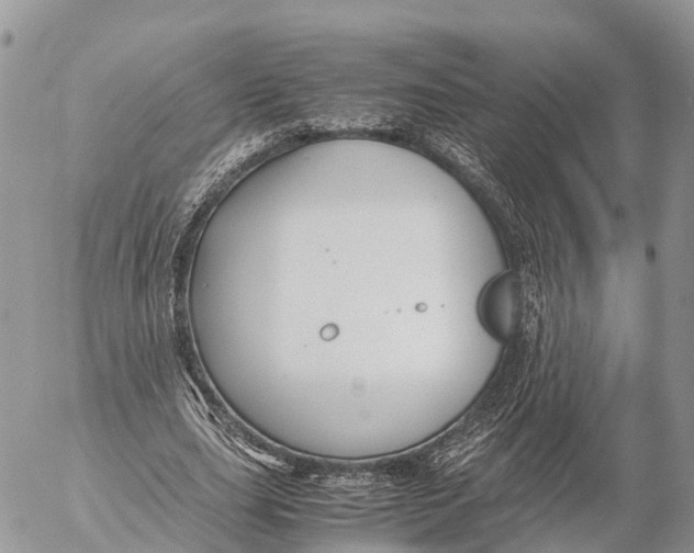 X0000053090631200508081311