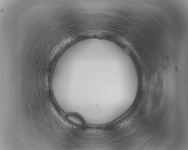 X0000053090633200508081312