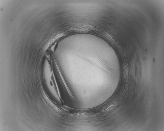 X0000053090634200508081312