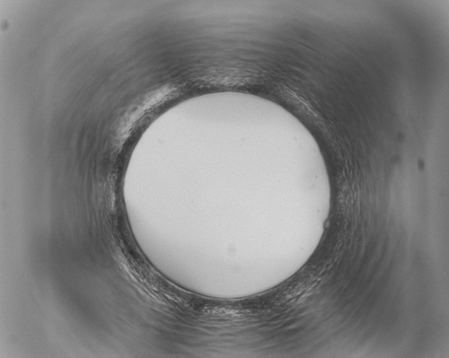 X0000053090635200508081312