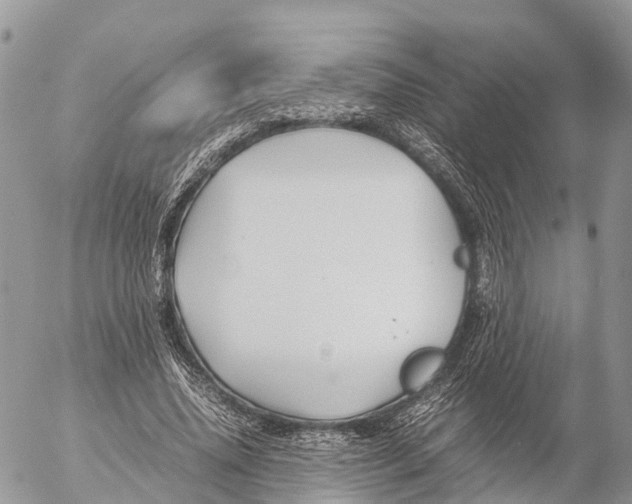 X0000053090636200508081312