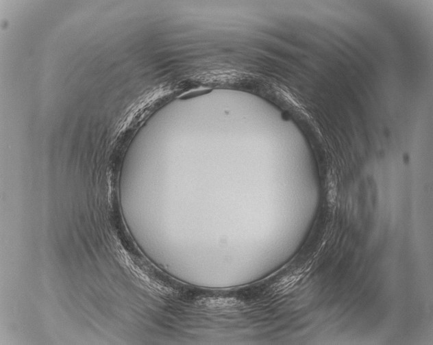 X0000053090637200508081312