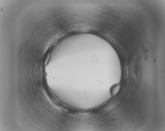 X0000053090638200508081312