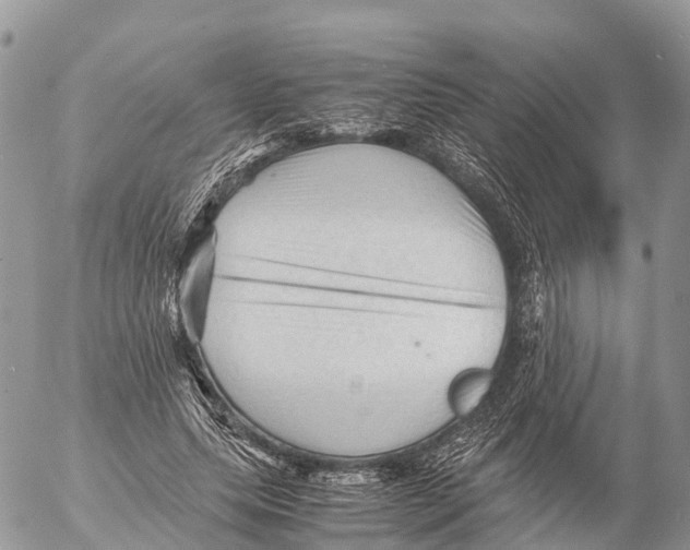 X0000053090639200508081312