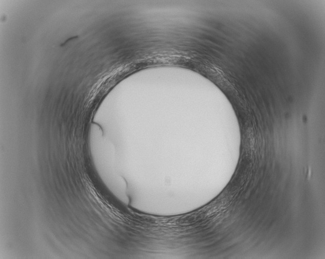 X0000053090640200508081312